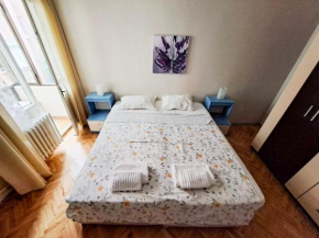 Spacious and Bright Apartment - Dirim House